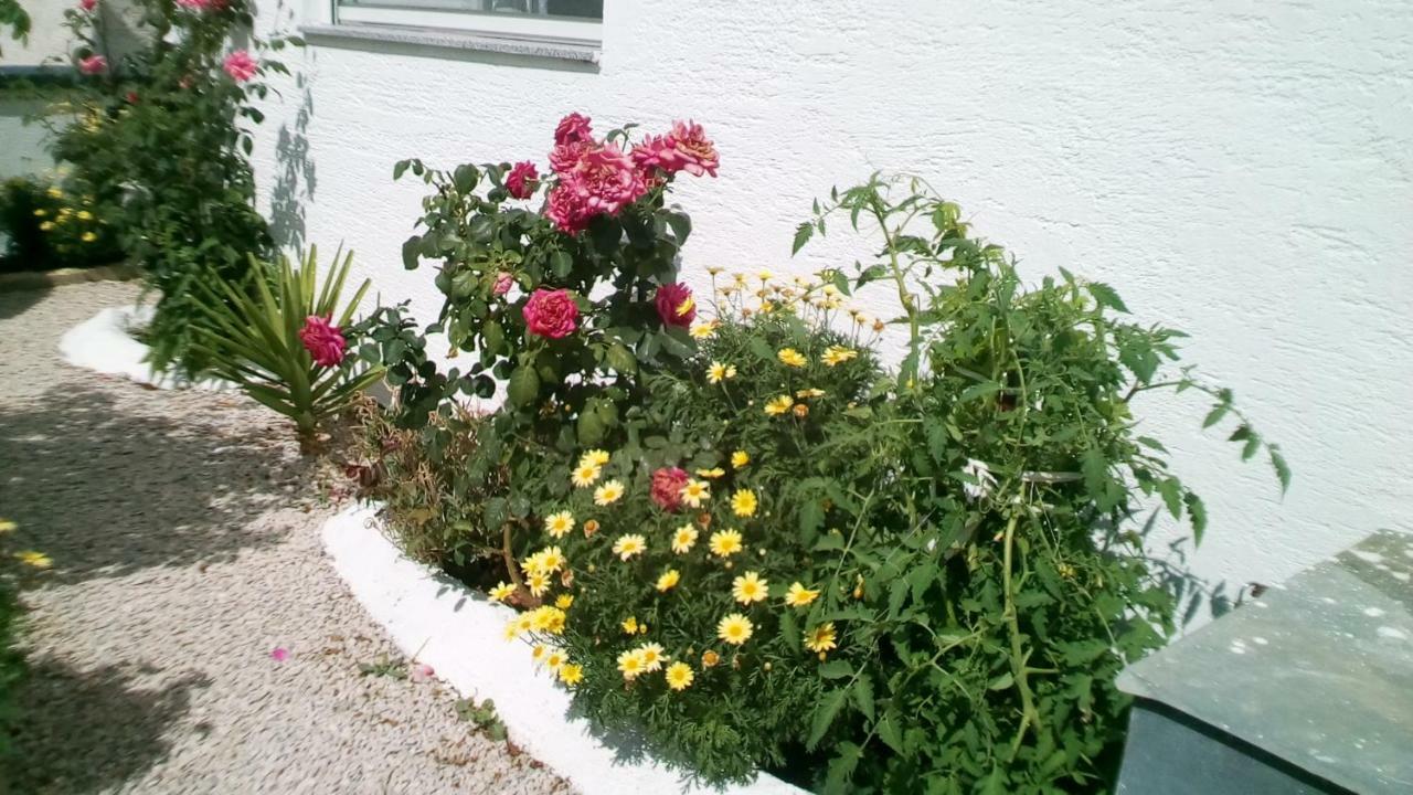 Apartman Roko *